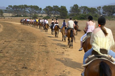 Horse Riding Hire